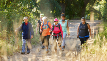 Beach & Bush Walking Group